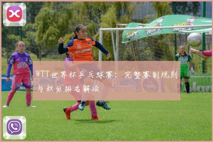 WTT世界杯乒乓球赛：完整赛制规则与积分排名解读