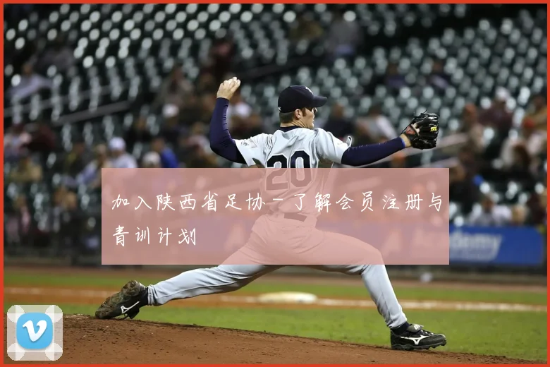 加入陕西省足协 - 了解会员注册与青训计划